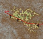 Sensitivity of the 1002 Area to disturbance by seismic operations